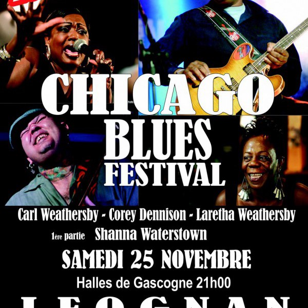 CHICAGO BLUES FESTIVAL - 25ème Nuit du Blues