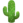 cactus cactus