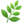 leaf leaf