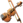 violin violin