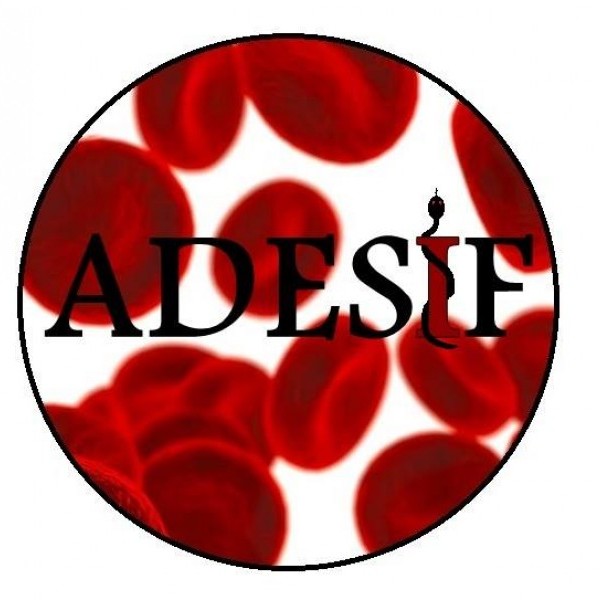 BDE ADESIF