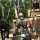 Airsoft
