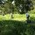 Segway Carnac - Escapades des Menhirs 2H