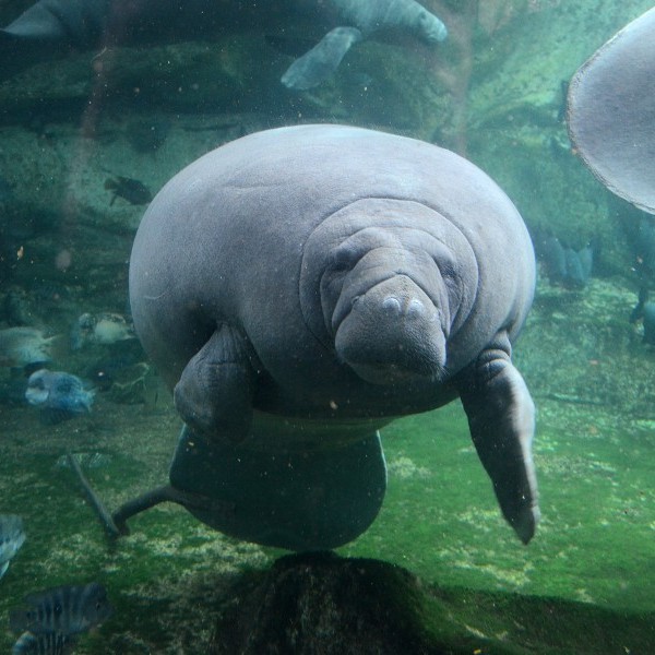 ZOOPARC DE BEAUVAL