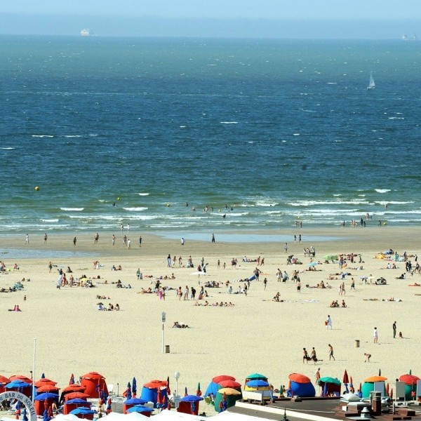 Deauville – plage, jeux d’été & stage SALSA pour les curieux, seulement 39,9€