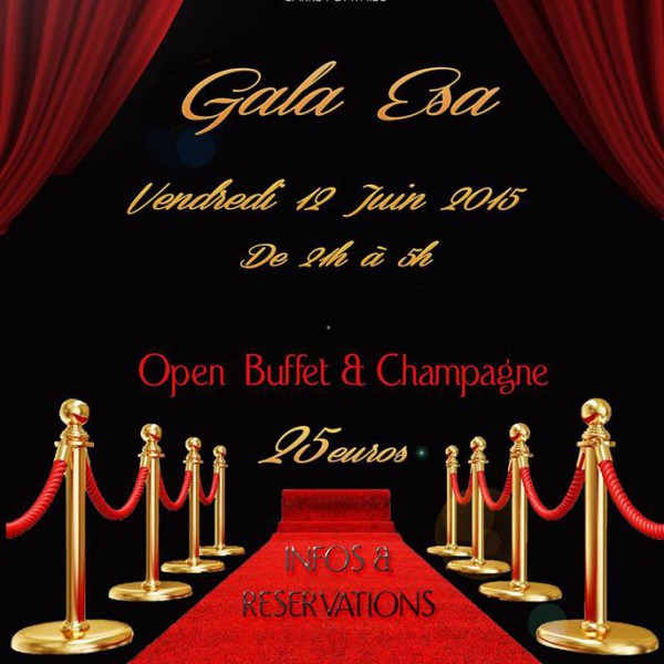 GALA ESA 2015