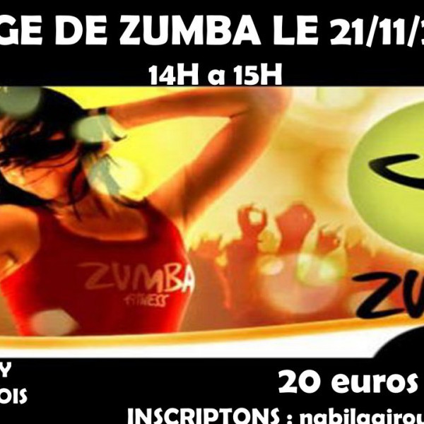 STAGE DE ZUMBA LILLE
