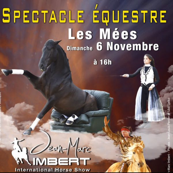 Spectacle équestre "Jean-Marc Imbert - International horse show" les Mées (04) salle "Les Crins"