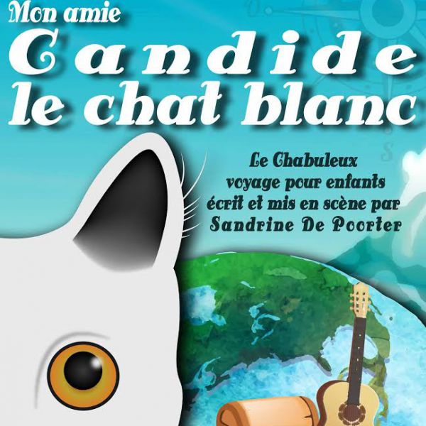 mon amie Candide, le chat blanc