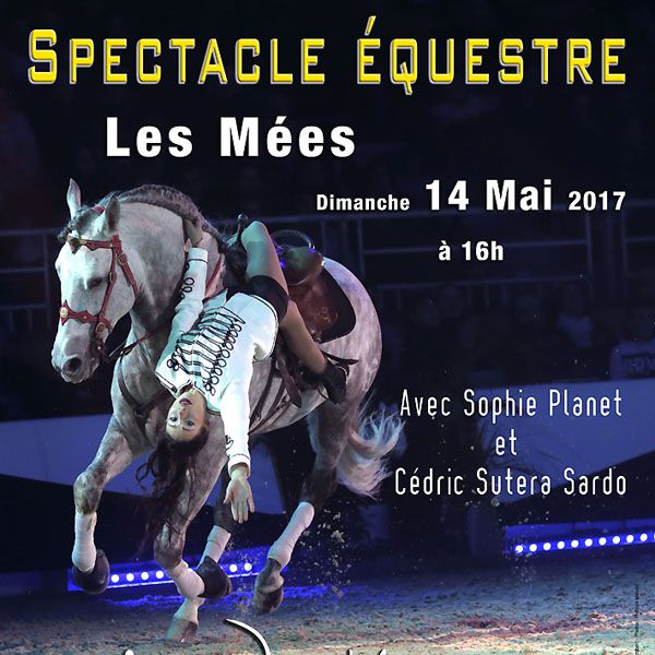 Spectacle équestre "Jean-Marc Imbert - International horse show" les Mées (04) - 14 mai 2017 - salle "Les Crins