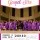 CONCERT DE GOSPEL AVEC MELEK & THE GOSPEL FIRE A CRETEIL