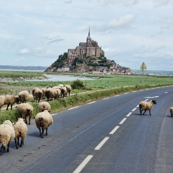Week-end Erasmus en Normandie (D-day)