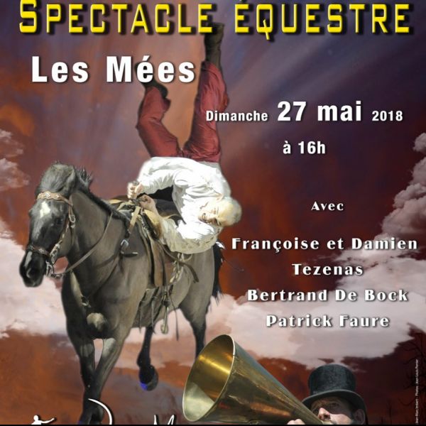 Spectacle équestre Jean-Marc Imbert - International horse show - les Mées (04) - 27 mai 2018 - salle "Les Crins "
