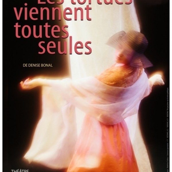 Les tortues viennent toutes seules