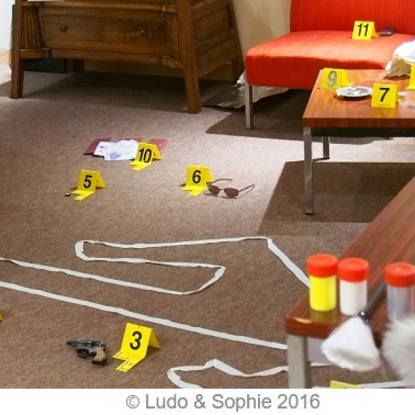 A qui profite le crime, ou l'histoire des grands criminels