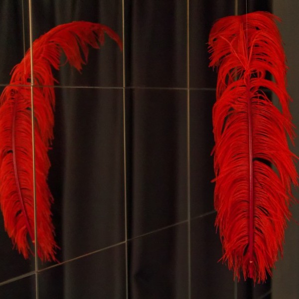 La Plume Rouge - Cabaret