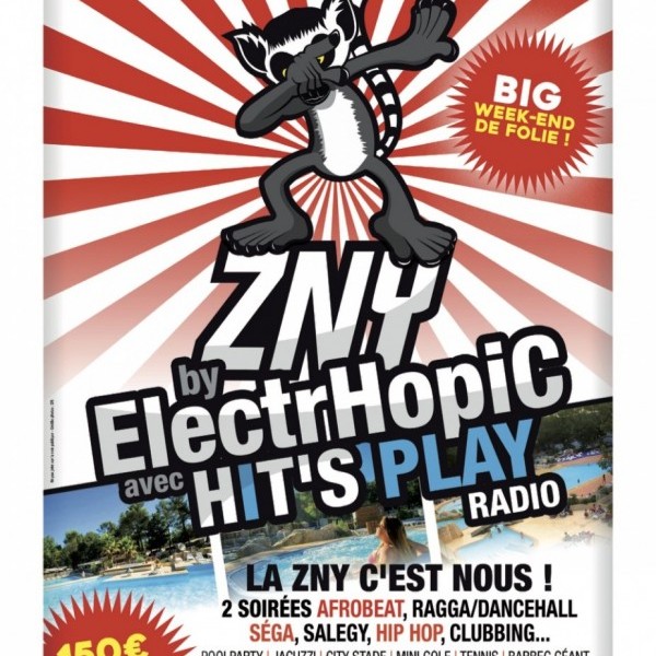 ZNY By ElectrHopiC & Hit's Play
