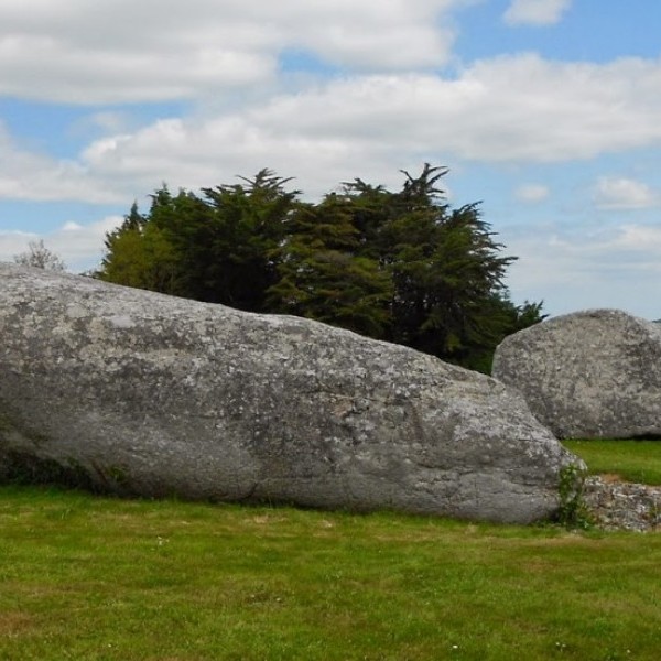 Visite des Menhirs de Locmariaquer - Billet coupe file