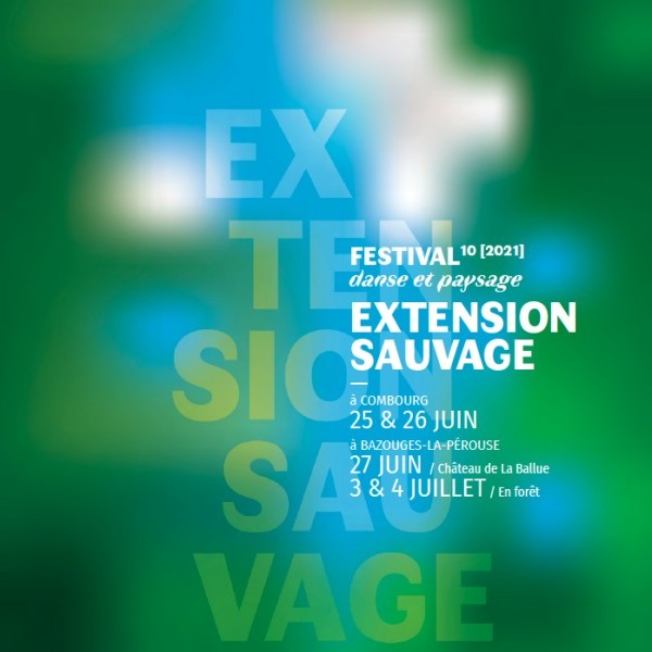 FESTIVAL EXTENSION SAUVAGE #10