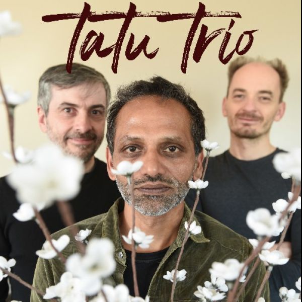 Tatu Trio