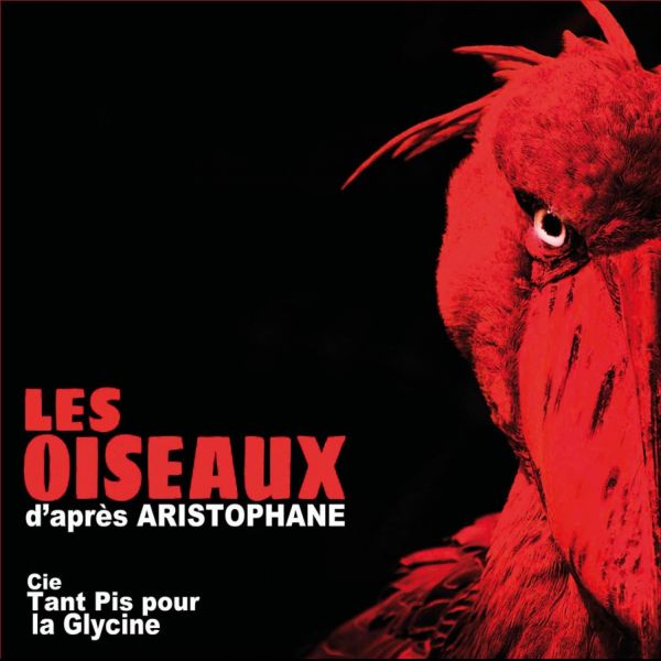 Les Oiseaux - d'après Aristophane