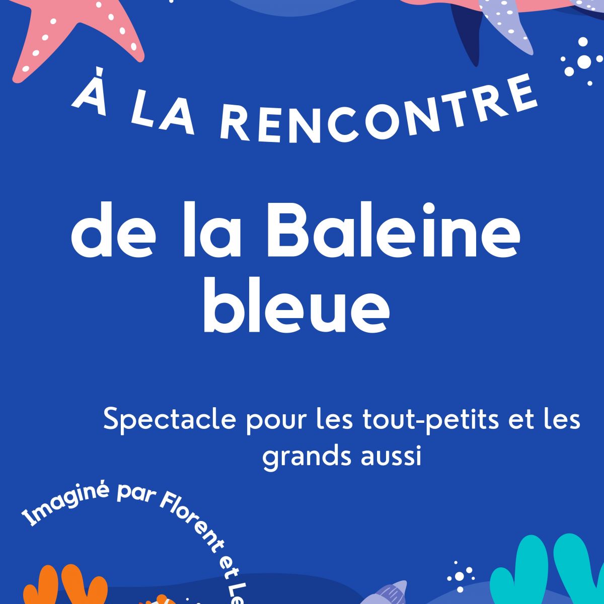 A la rencontre de la baleine bleue