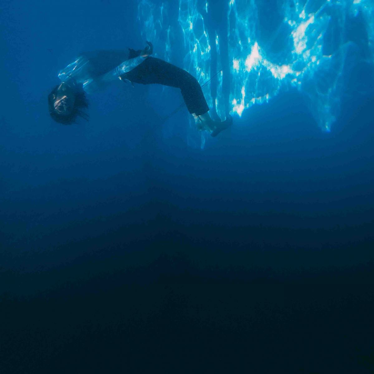 TRANSMISSION "WHALES"