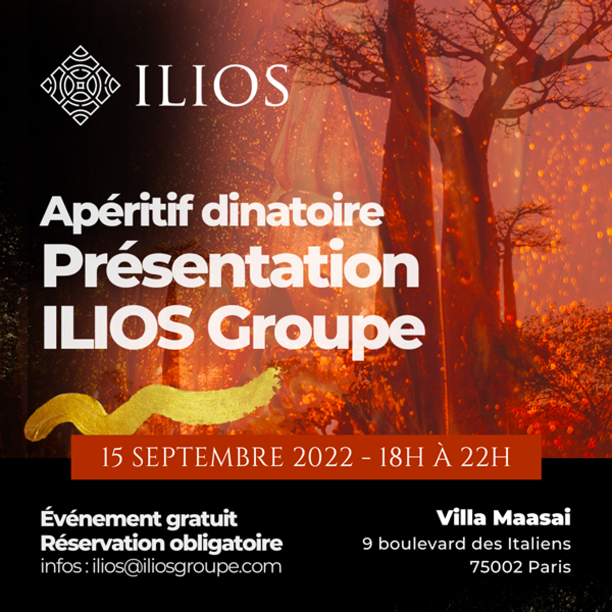 Présentation d'ILIOS Groupe par Pathé Dialo à la Villa Maasai (Paris)