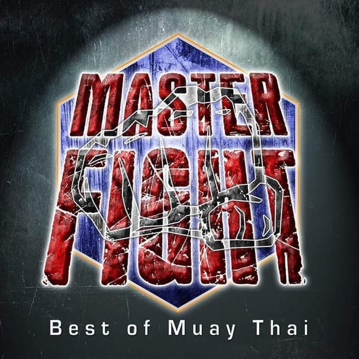 MASTER FIGHT 3