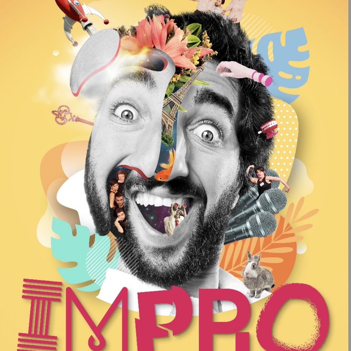 La 10e édition du Festival d'Impro de Paris Impro en Seine