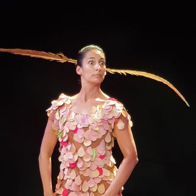 PIROUETTE, la danse des 4 saisons