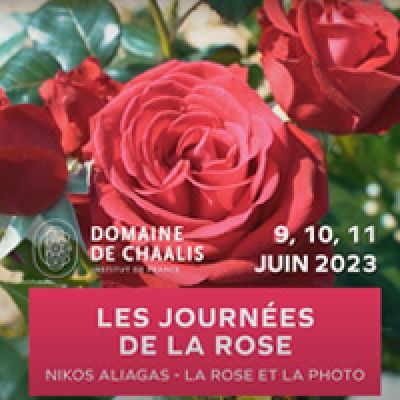 Journées de la rose