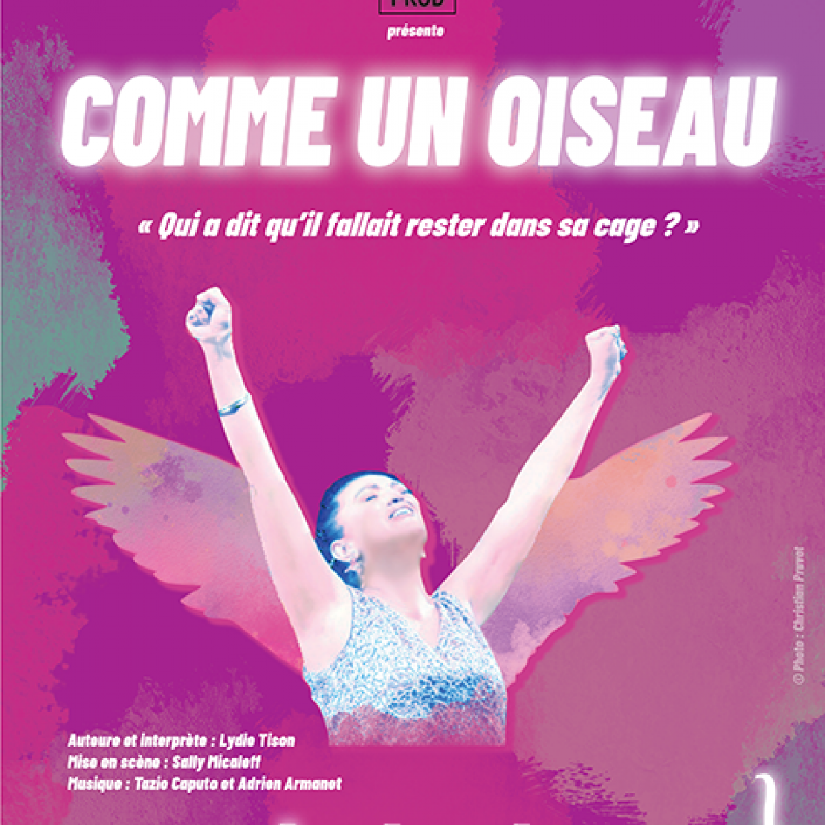 Lydie Tison dans Comme un oiseau