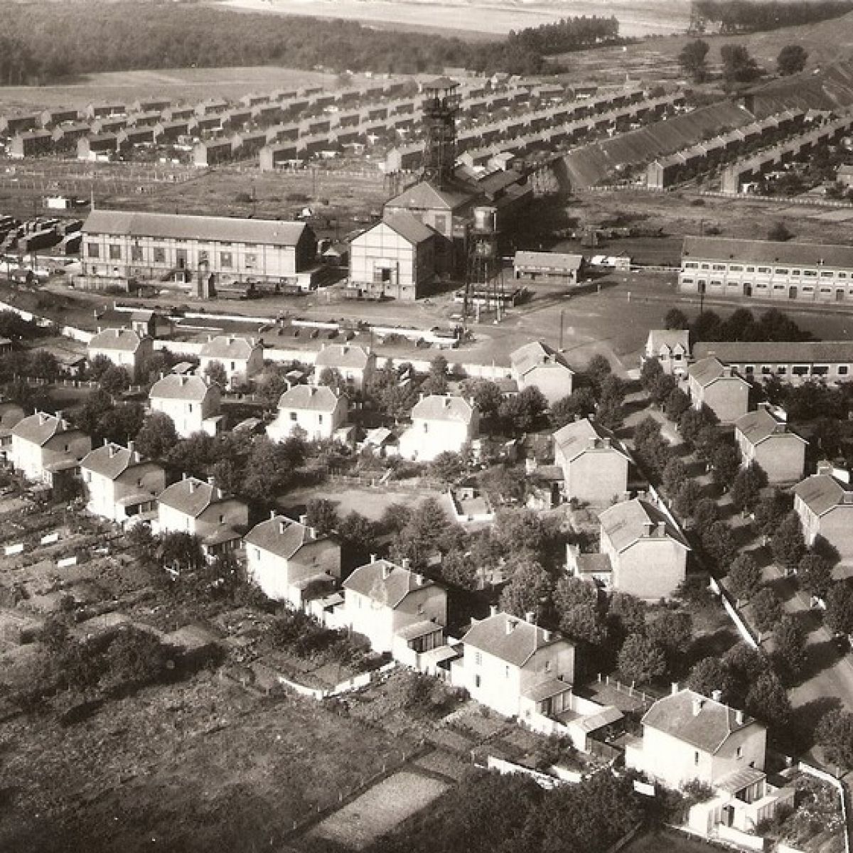 Les ruches de la fosse 10 de Leforest