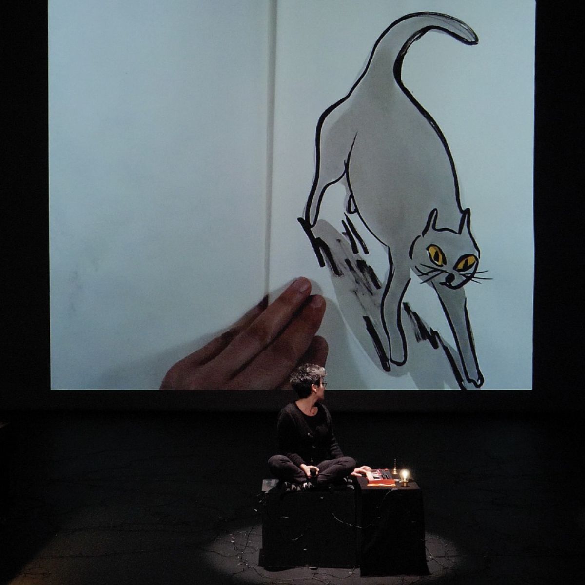 Jean-Chat voit dans le noir