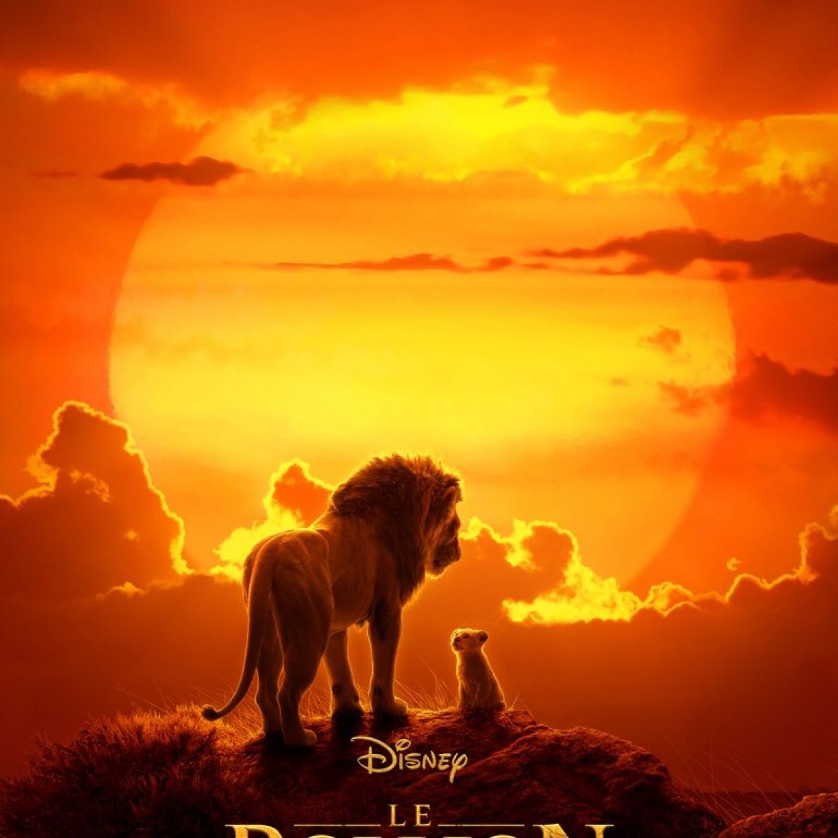 CINEPARC Domaine de Marlioz : Le Roi Lion, le film