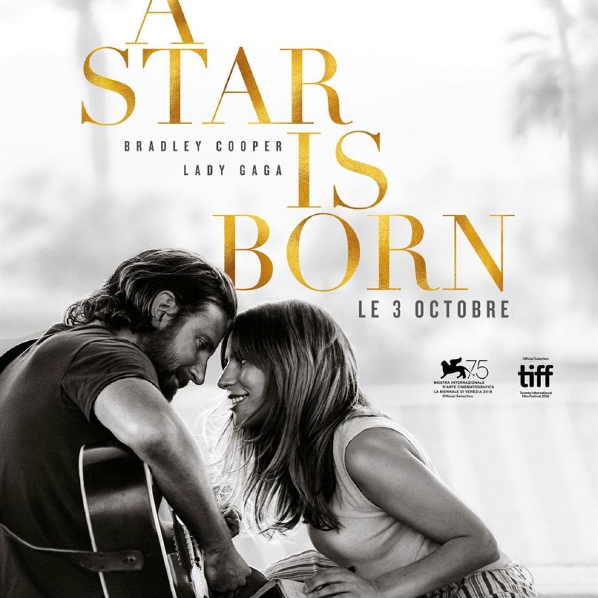 CINEPARC Domaine de Marlioz : A star is born