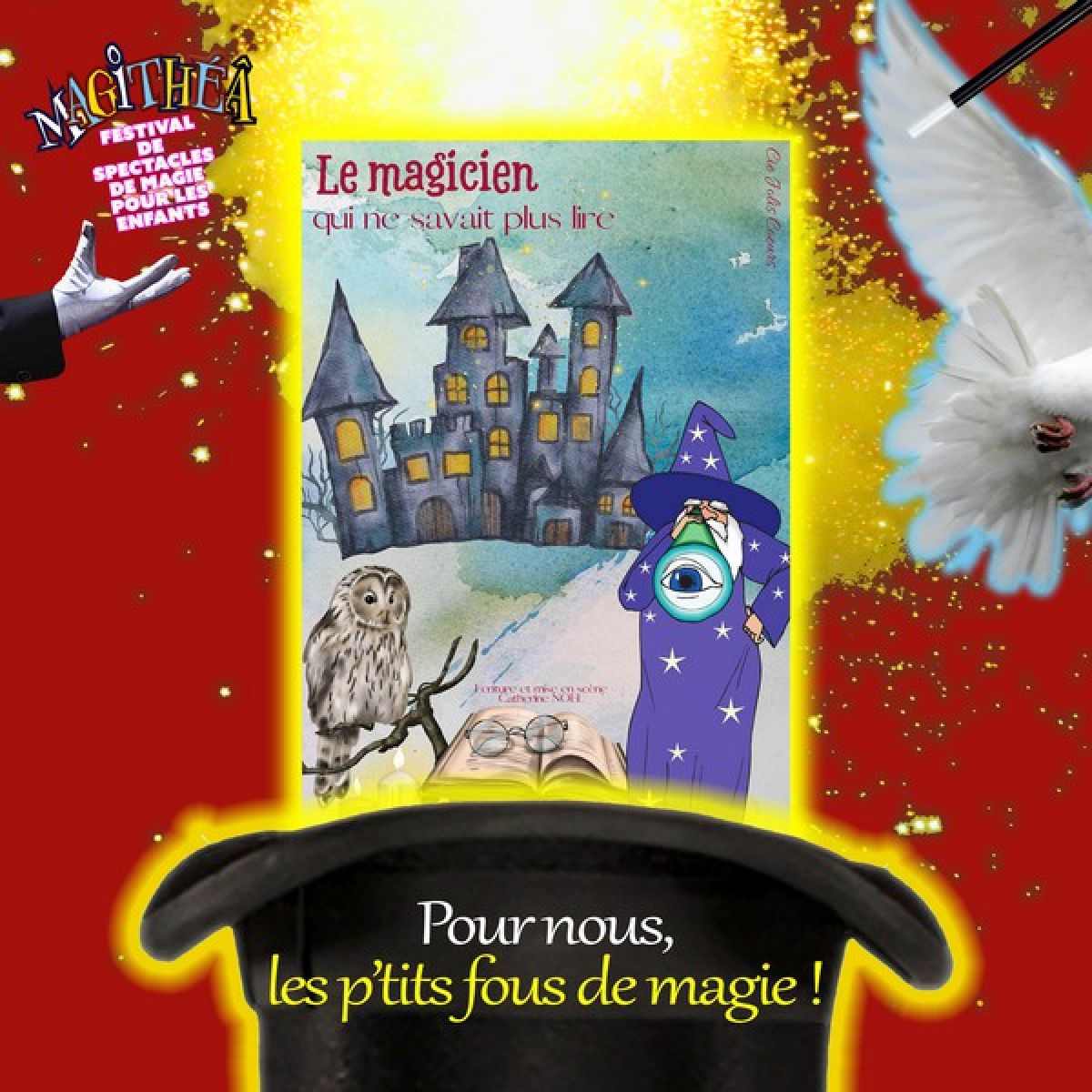 Le Magicien qui ne savait plus lire