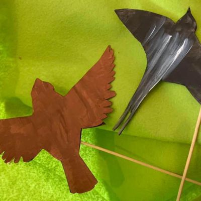 ORNIS ou la journée d'un oiseau