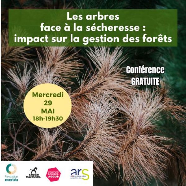 Conférence - Les arbres face à la sécheresse : impact sur la gestion des forêts