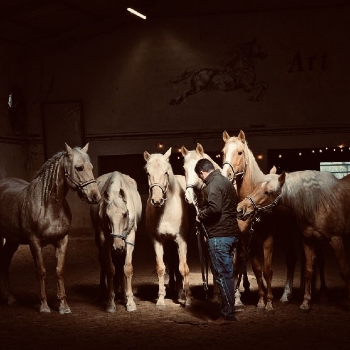 Spectacle Equestre du 13 Juillet 2024