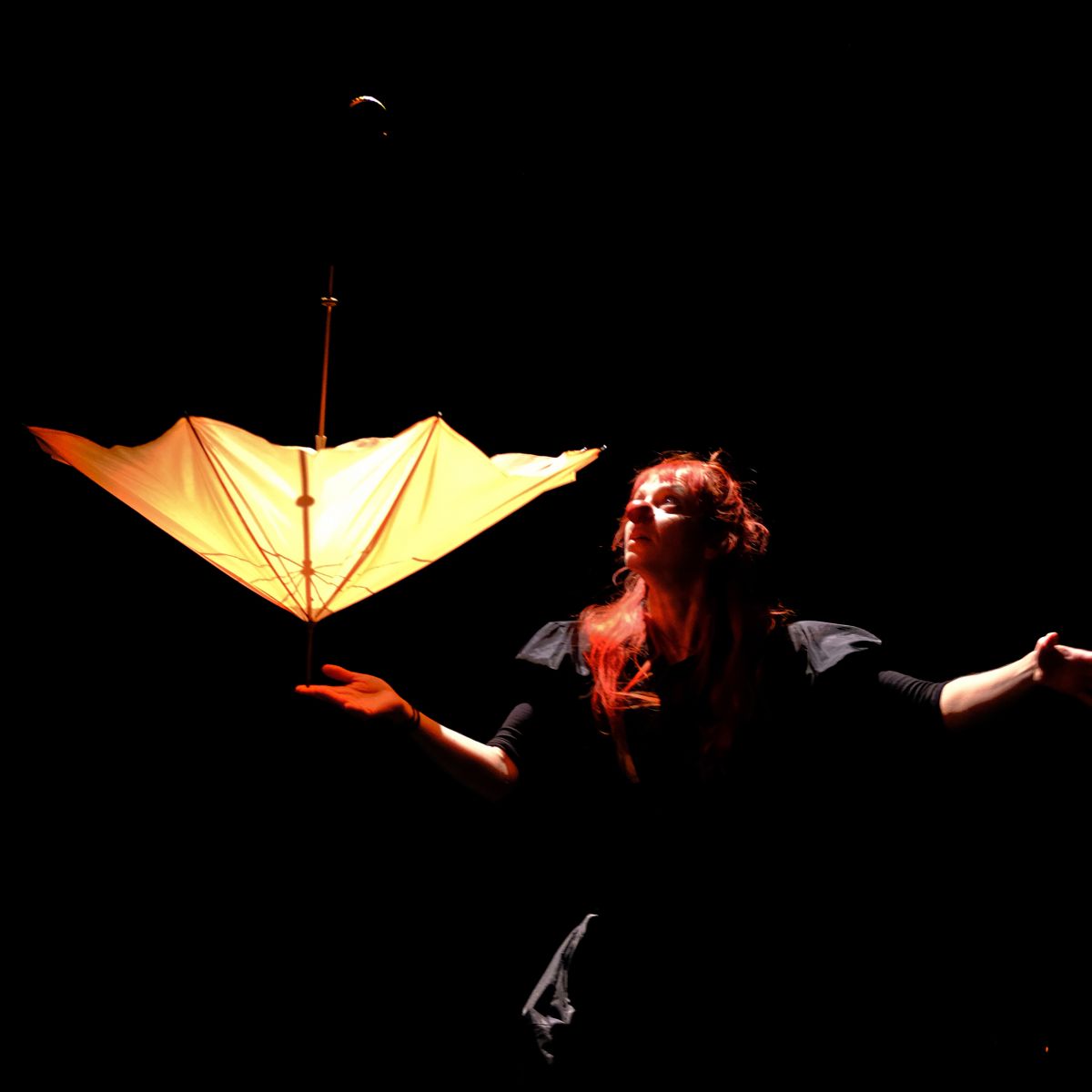 Spectacle Variations pour un Parapluie