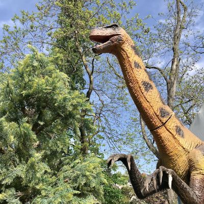 Exposition de dinosaures • Dinosaurs World à Liège