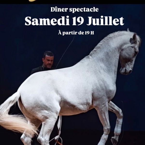 Diner spectacle 19 juillet 2025