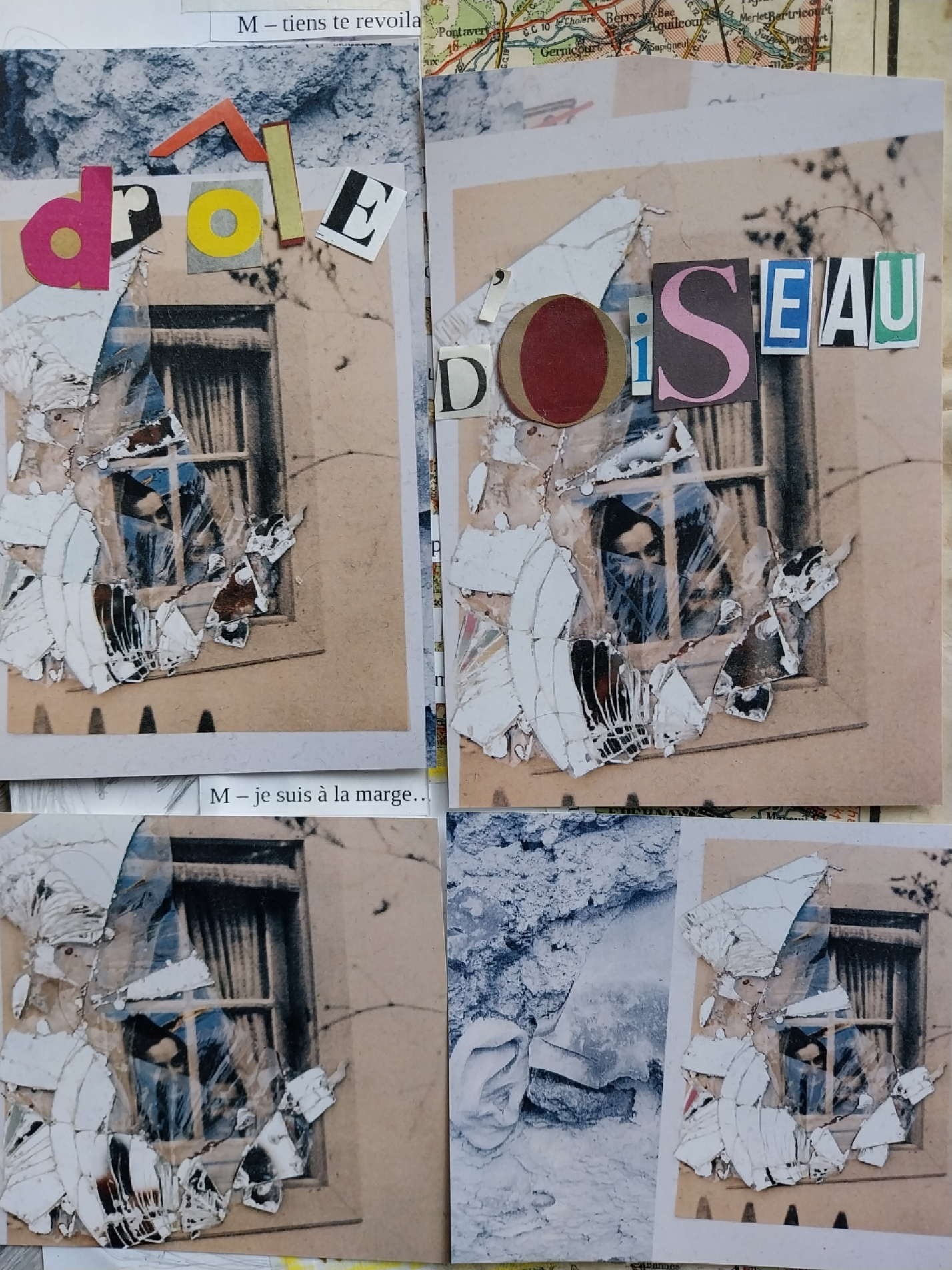 DRÔLE D'OISEAU