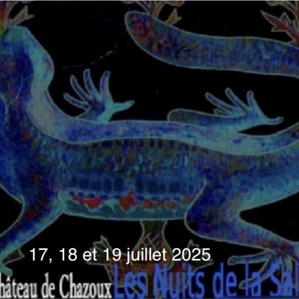 Les Nuits de La Salamandre-Festival de musique et de textes