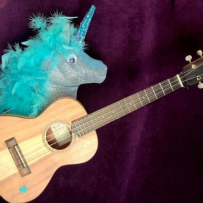 Lalie la licorne et les drôles de maisons