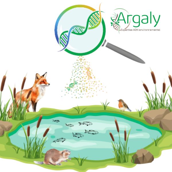 Utilisation de l’outil ADN environnemental : de l’échantillonnage à l’analyse bioinformatique.