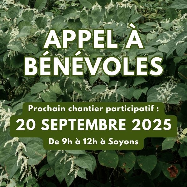 Chantier participatif dans les lônes de Soyons