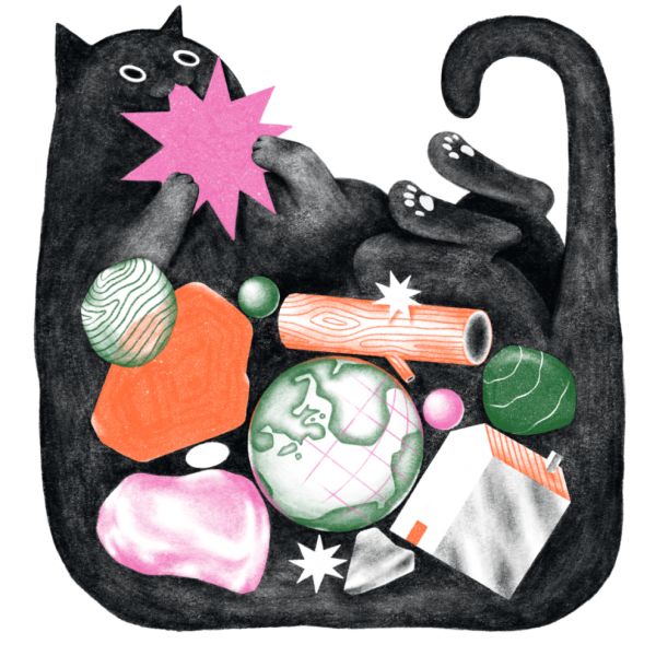 LE CHAT ET LE BOL DE PORRIDGE ( à partir de 6ans)